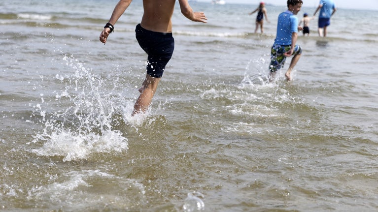 Visiktors paddling in shallow sea water.